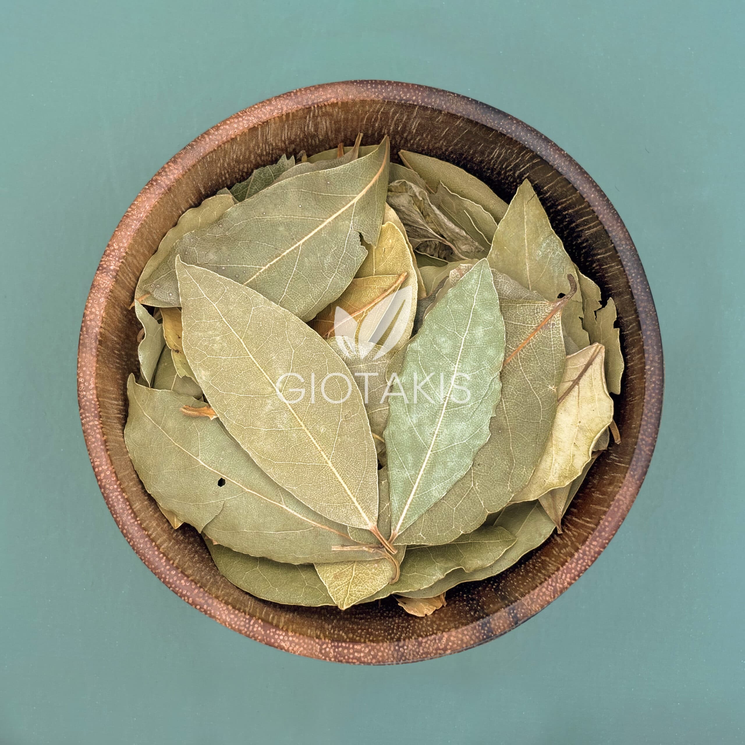 Φύλλα Δάφνης