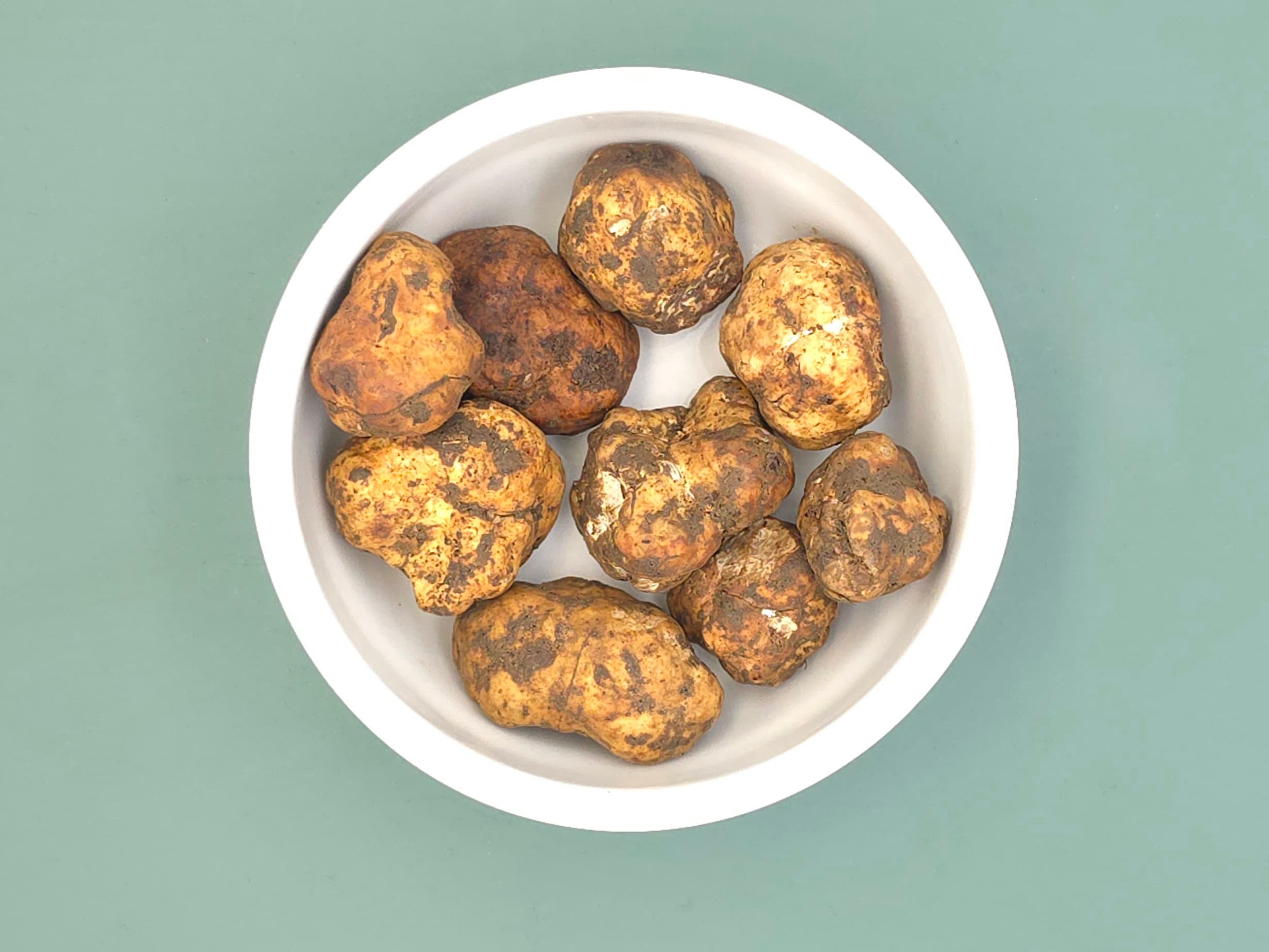 Φρέσκια Λευκή Τρούφα Borchii Ανοιξιάτικη