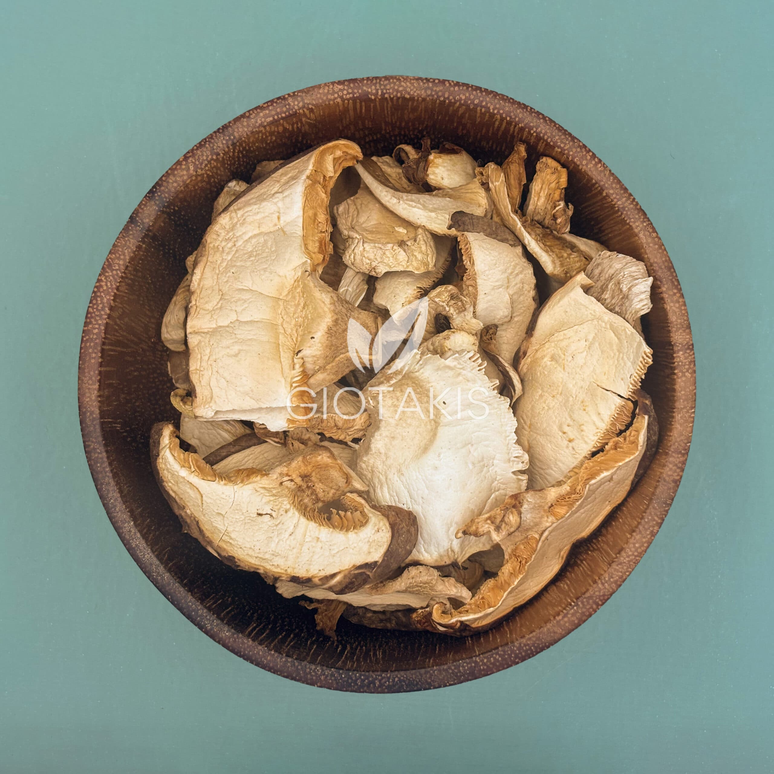 Μανιτάρια ποικιλία δάσους Ελληνικά Δίρφυς