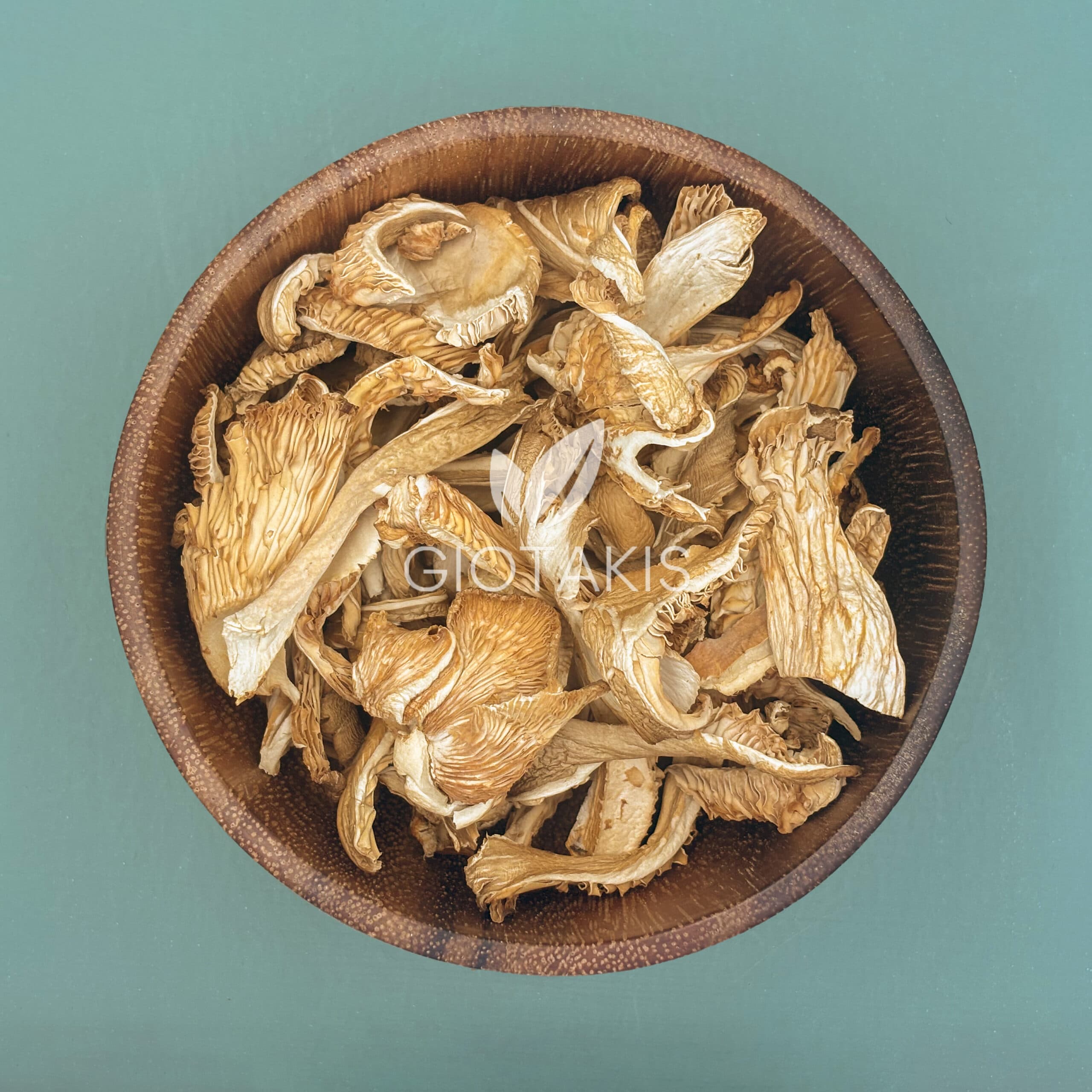 Μανιτάρια Αποξ/να πλευρώτους Ελληνικά