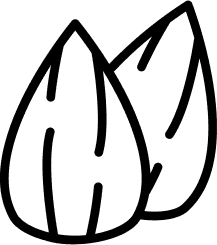 Ξηροί καρποί και σνακ